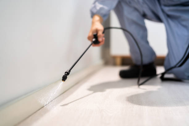 Certified termite inspector examining foundation in Wheeler AFB
