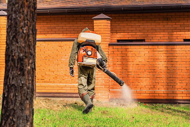 Top rated local Mosquito Control specialists in Wheeler AFB, HI